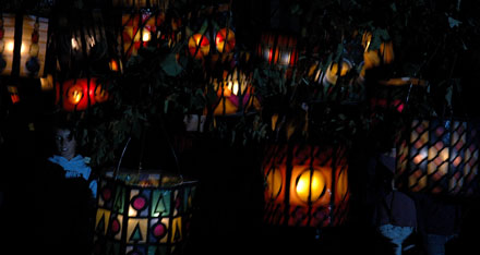 Bachfischet 2024 Picture